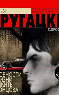 Подробности жизни Никиты Воронцова - Аркадий и Борис Стругацкие
